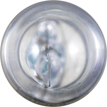 License Light Bulb-Longerlife - Twin Blister Pack Philips 168LLB2