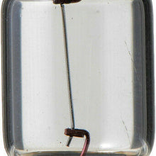 Dome Light Bulb-Standard - Twin Blister Pack Rear Philips DE3175B2