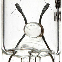 Instrument Panel Light Bulb-Longerlife - Twin Blister Pack Philips 158LLB2