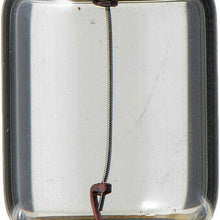 Dome Light Bulb-Standard - Twin Blister Pack Rear Philips DE3175B2