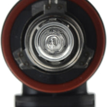Headlight Bulb-Standard - Single Commercial Pack Philips H9C1