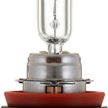 Headlight Bulb-Standard - Single Blister Pack Philips H9B1