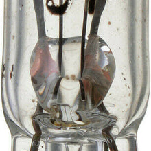 Instrument Panel Light Bulb-Standard - Multiple Commercial Pack Philips 37CP