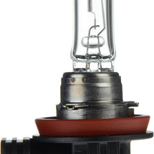 Headlight Bulb-Standard - Single Commercial Pack Philips H9C1