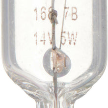 Side Marker Light Bulb-Standard Mini Bulb Front/Rear PHILIPS