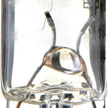 License Light Bulb-Longerlife - Twin Blister Pack Philips 168LLB2