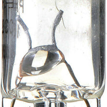 License Light Bulb-Longerlife - Twin Blister Pack Philips 168LLB2