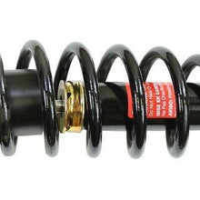 Suspension Strut and Coil Spring Assembly Rear Left fits 09-13 Toyota Corolla