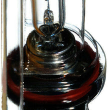 Headlight Bulb-Standard - Single Blister Pack Philips 12361B1