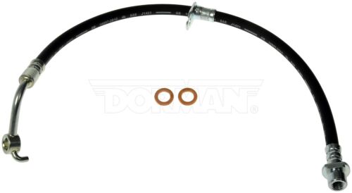 Rear Brake Hose H622531 Dorman/First Stop